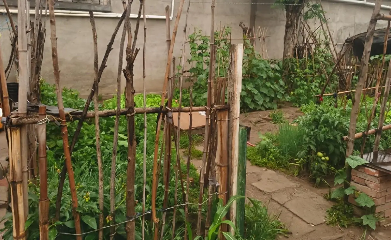 逆水寒手游庄园种艾草玩法