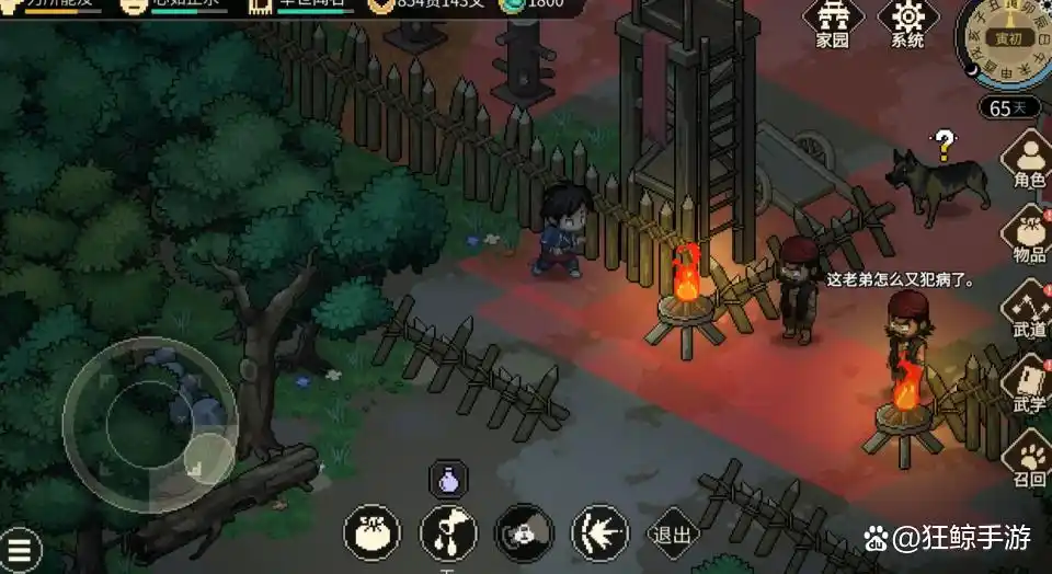 大侠立志传道法自然的