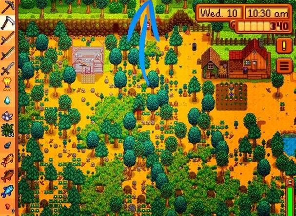 星露谷物语罗宾斧子在哪里介绍