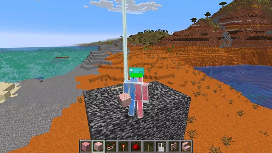 我的世界手机版密码门