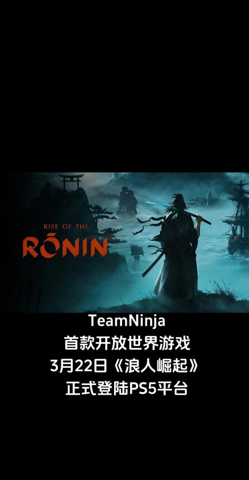 浪人崛起主武器流派有哪些