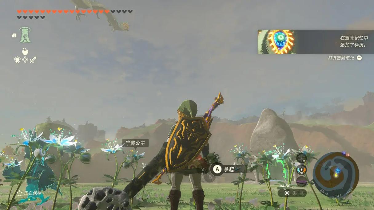 塞尔达传说王国之泪全呀哈哈