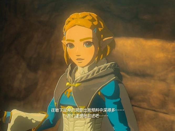 塞尔达传说王国之泪全呀哈哈