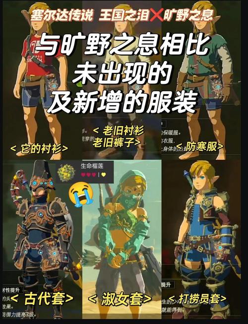 塞尔达传说王国之泪全呀哈哈