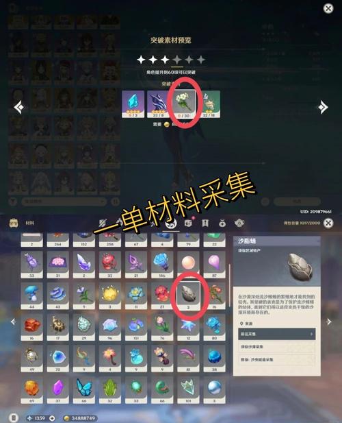 原神千织天赋升级材料