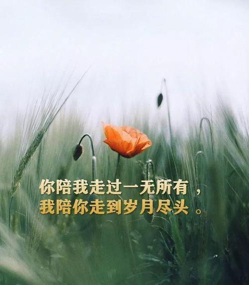 高德地图开启语音播报详细程度