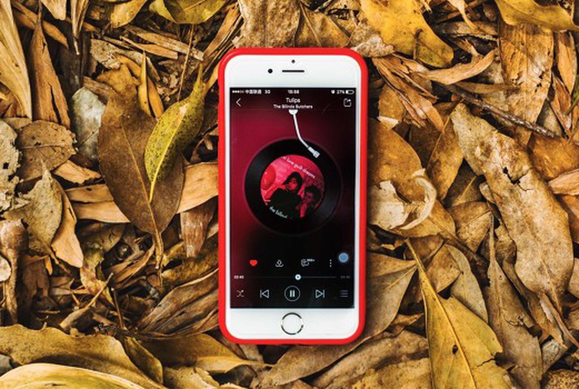 番茄音乐app首次使用怎么设置