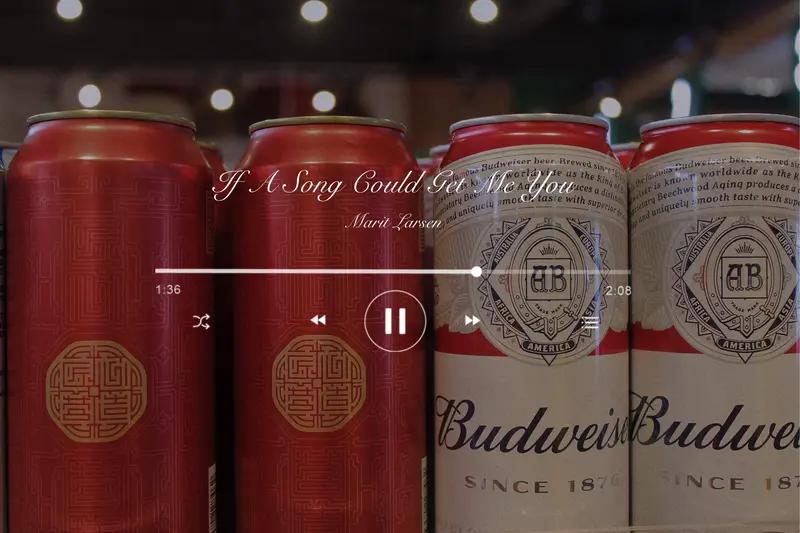 番茄音乐app首次使用怎么设置