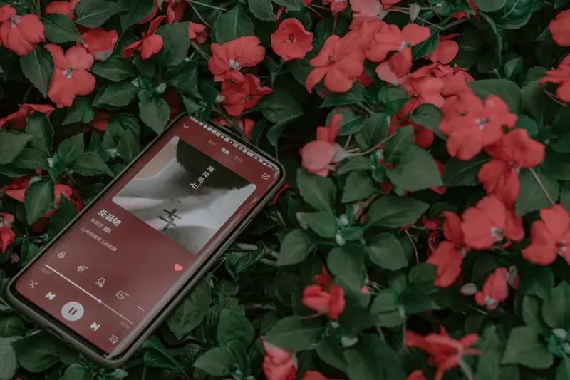 番茄音乐app首次使用怎么设置