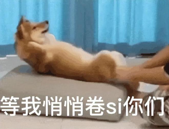 逆水寒手游好玩吗