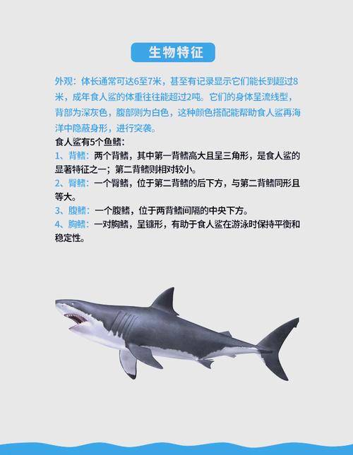 泰拉瑞亚迷你鲨