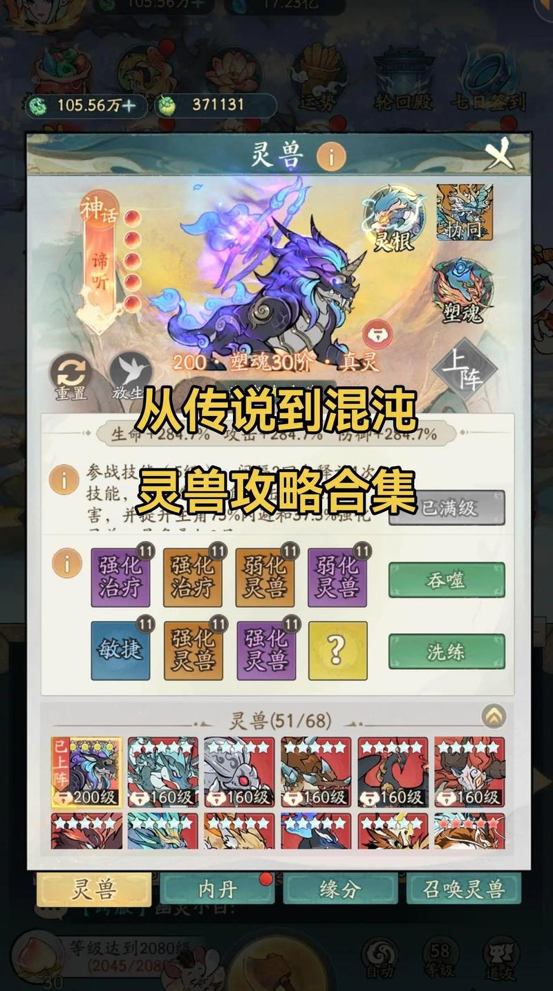 寻道大千轮回殿活动顺序