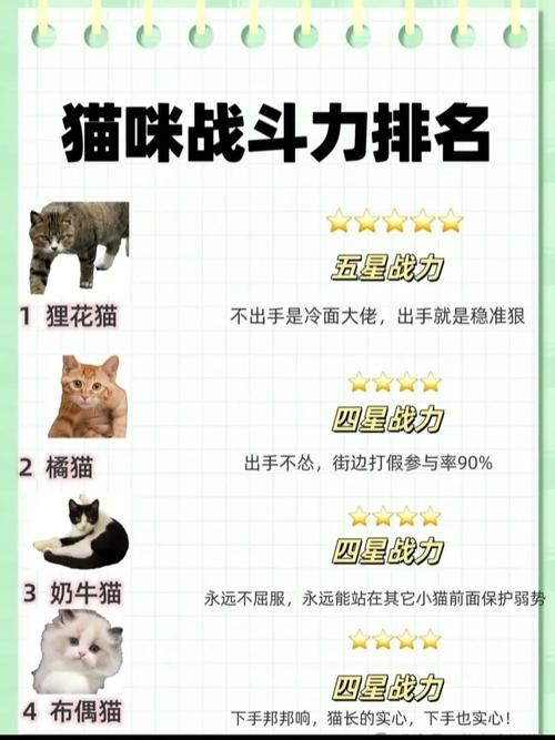 森之国度零氪怎么提升战力