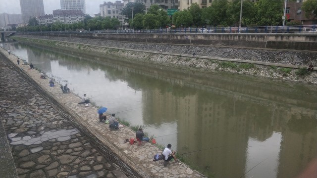 枫丹钓鱼饵料配方获取