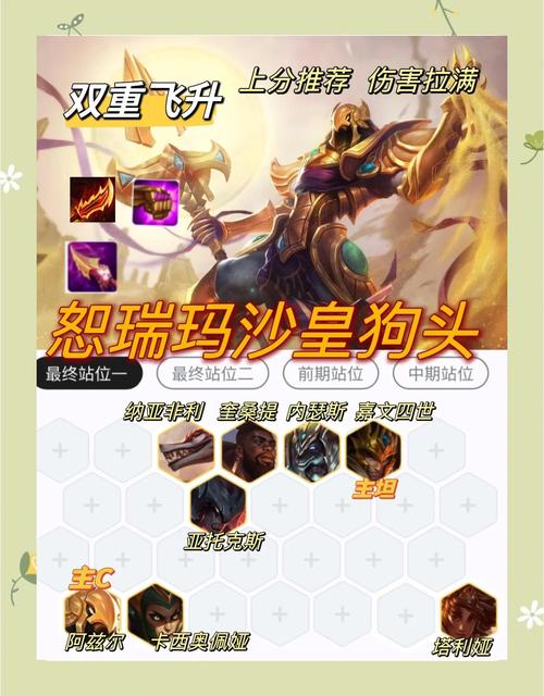 云顶之弈S954322沙皇