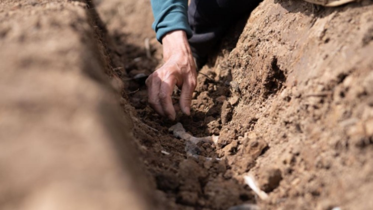 交管12123怎么处理交通违法