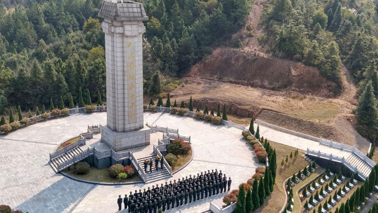 交管12123怎么处理交通违法