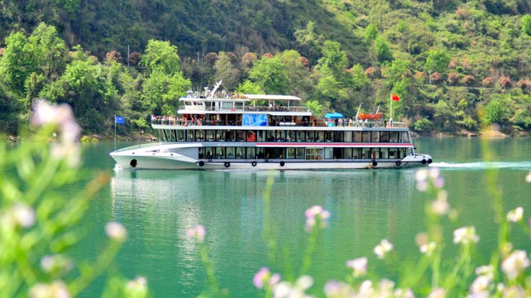 交管12123怎么处理交通违法