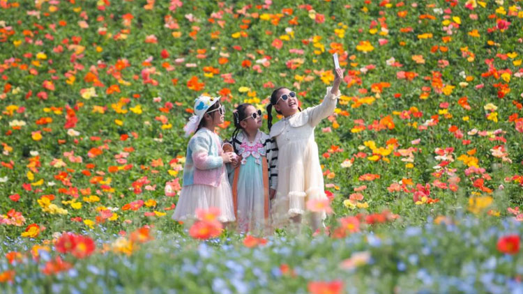 交管12123怎么处理交通违法