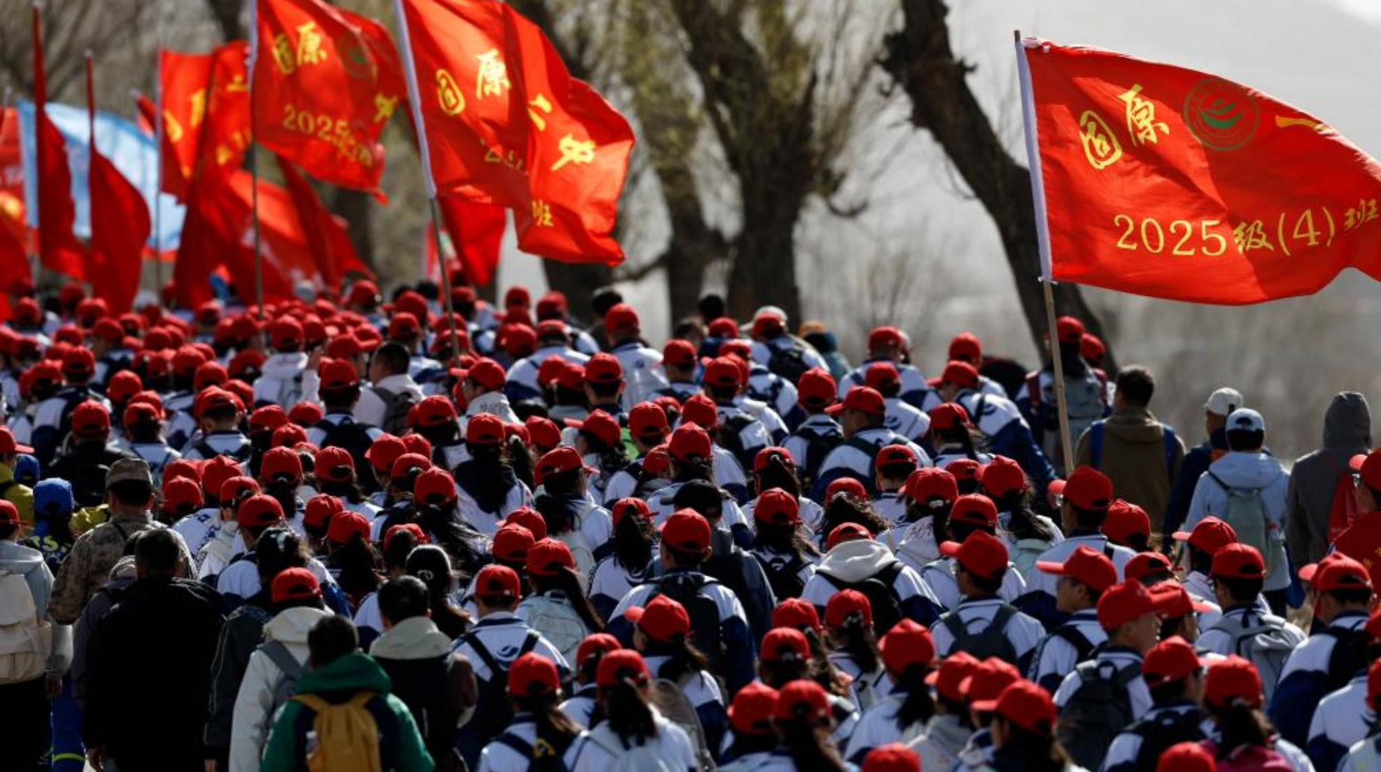 交管12123怎么处理交通违法