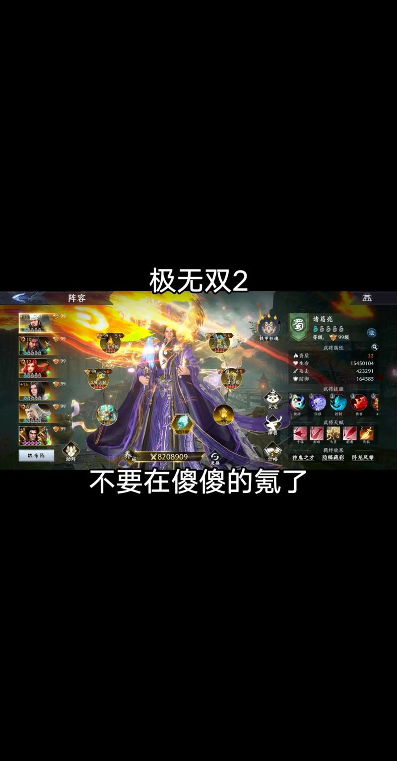 极无双2孙权武将搭配