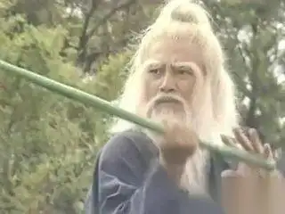 射雕武学大全介绍