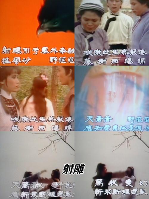 射雕武学大全介绍