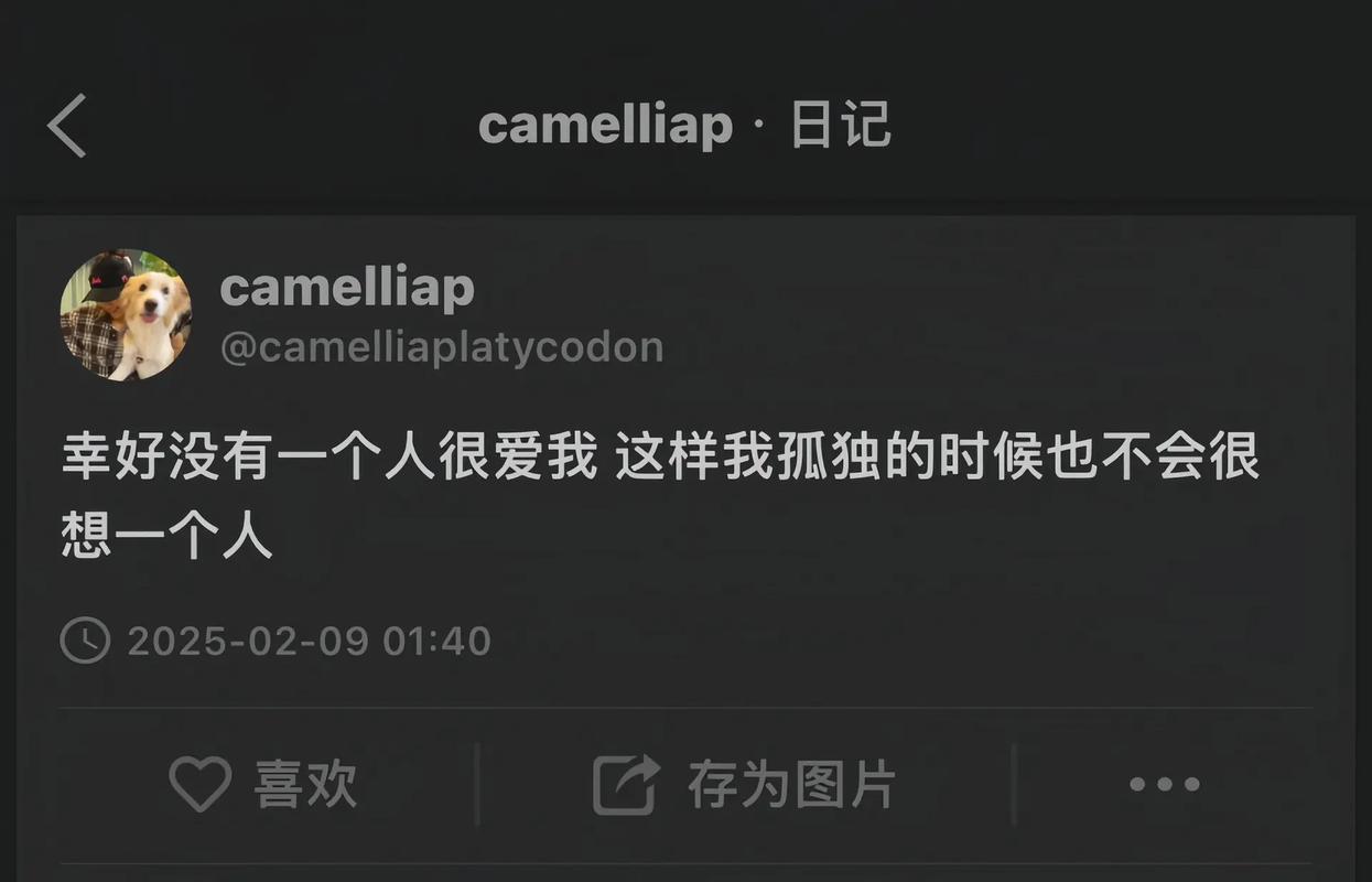 icity日记怎么注册邮箱