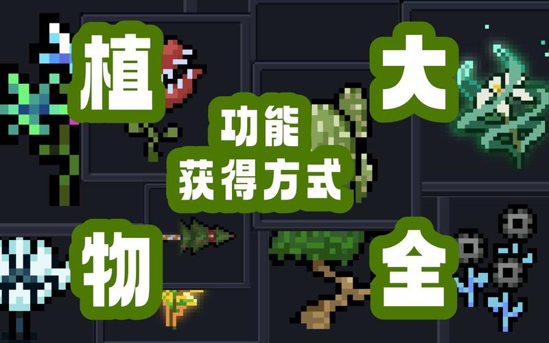 元气骑士揭秘植物种子的获取秘籍