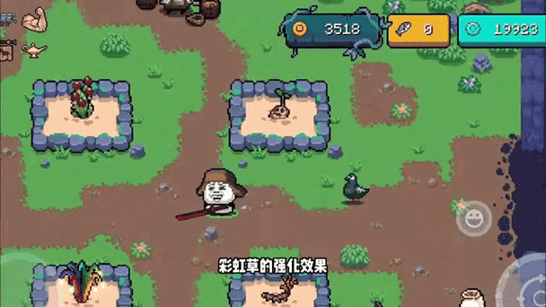 元气骑士揭秘植物种子的获取秘籍