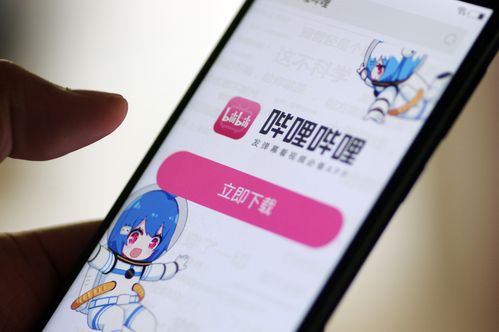 B站怎么设置空间访客权限