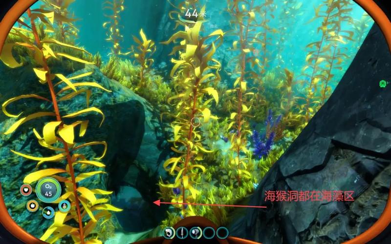 深海迷航海藻基地在哪