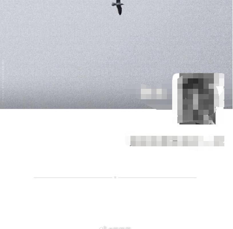 微信怎么恢复被屏蔽的朋友圈