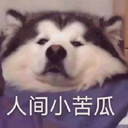 人生重开模拟器破碎虚空结局