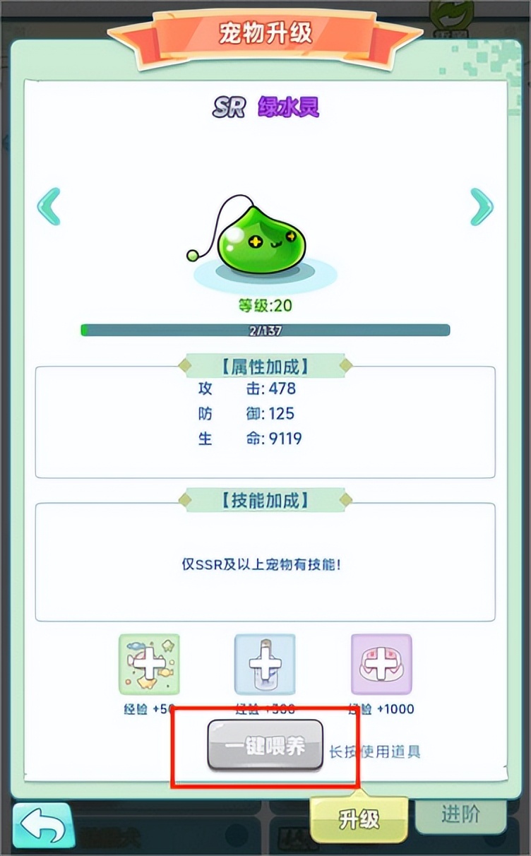 冒险岛联盟的意志新手怎么入门