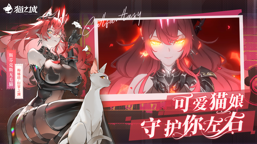 猫之城腾讯版