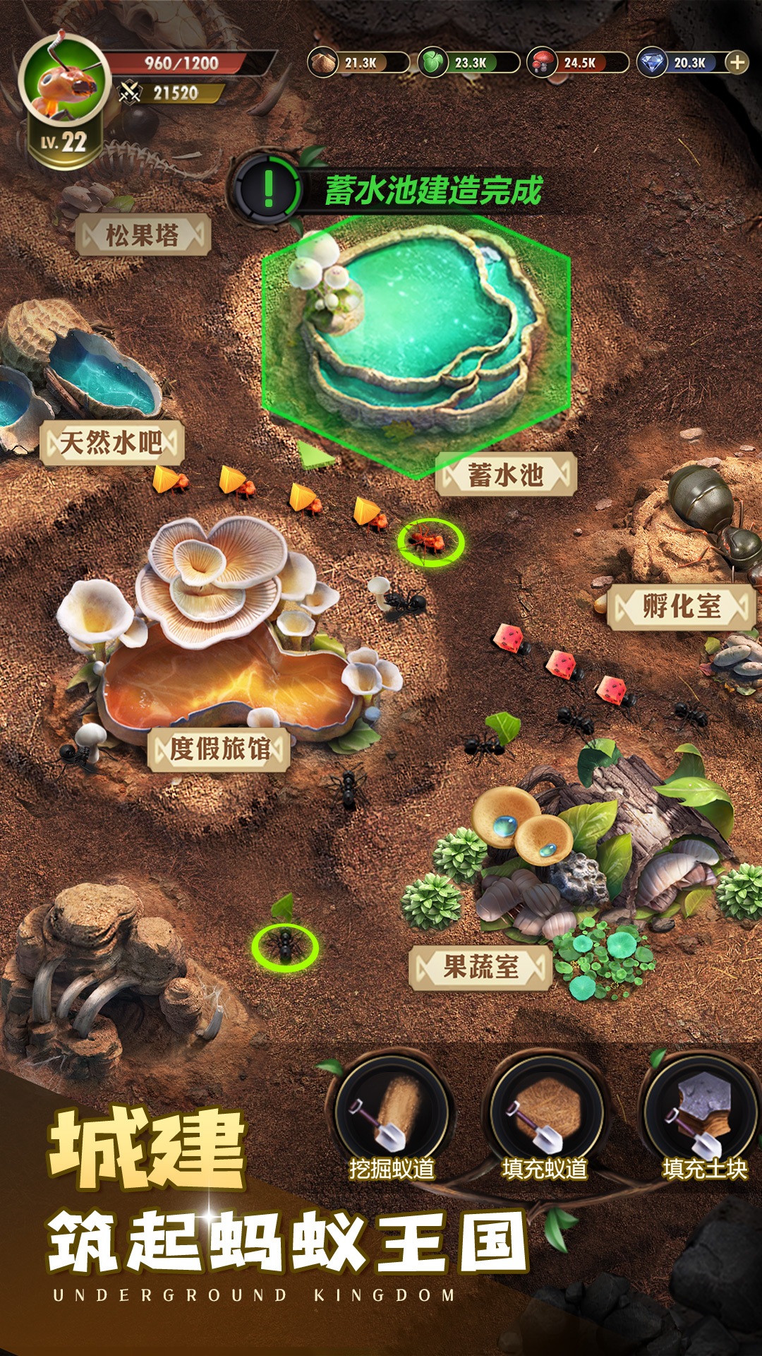 小小蚁国腾讯版