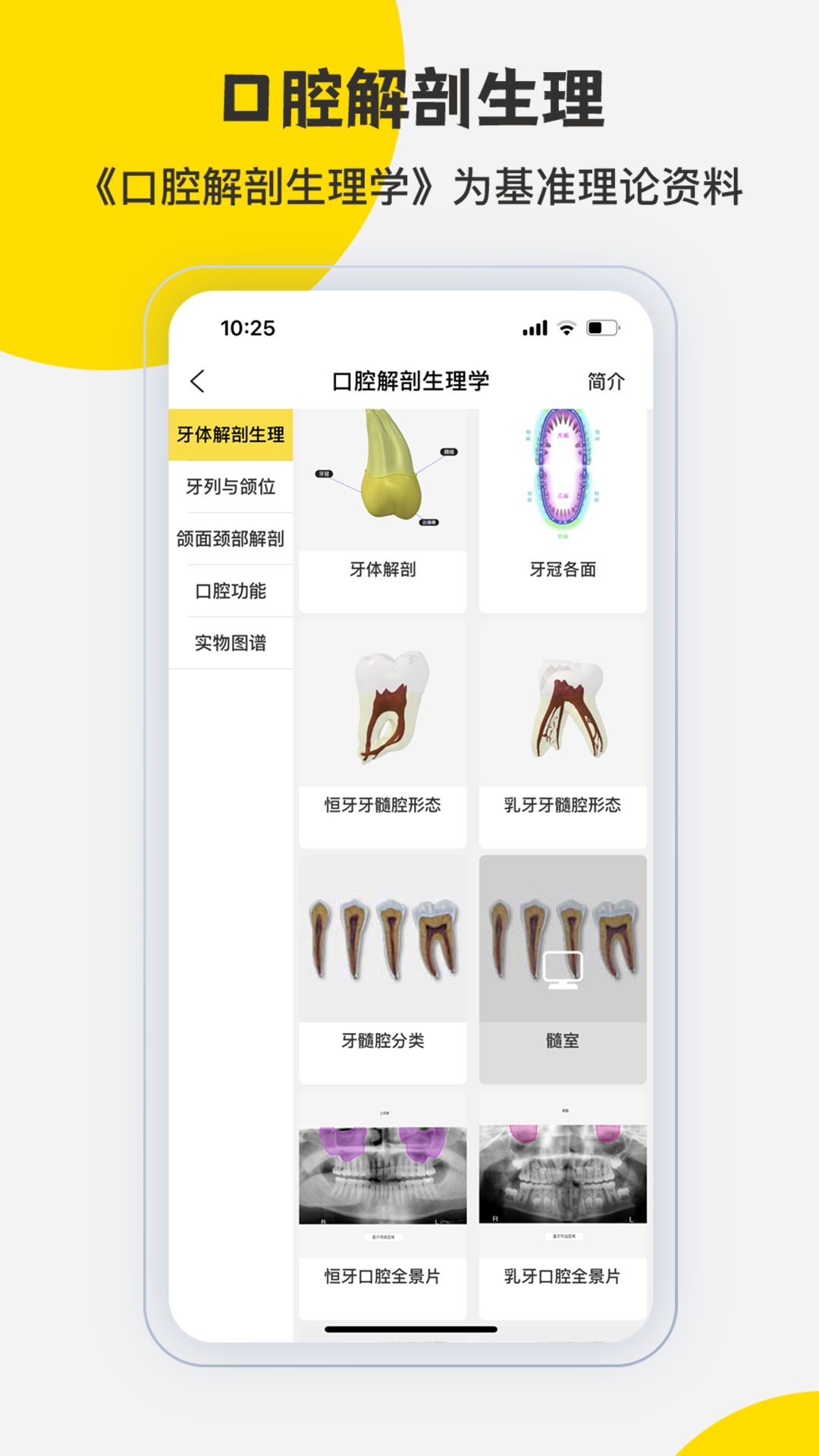 3Dbody解剖下载介绍图