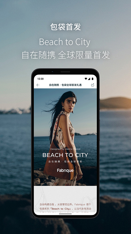 Fabrique下载介绍图