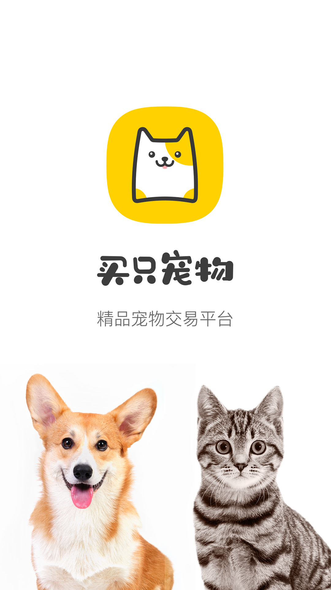 买只宠物