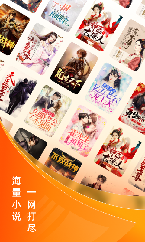 小说大全